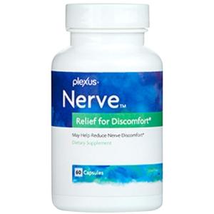 Plexus Nerve