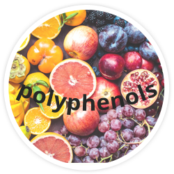 Polyphenols Polyphenols
