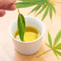 preparar aceite de cannabis en casa