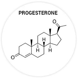 Progestérone Progestérone