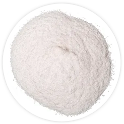 Probiotic Enzyme Blend Probiotic Enzyme Blend