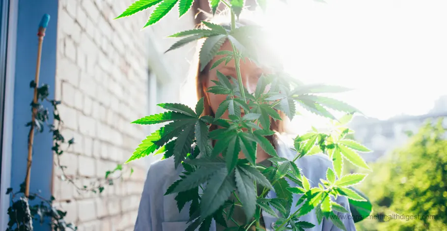 marijuana health benefits