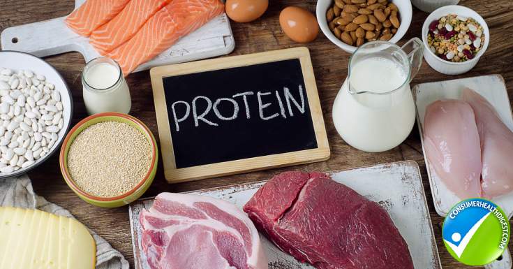 Protein