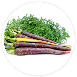 Purple Carrot Powder Purple Carrot Powder