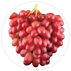 CongiGrape CongiGrape
