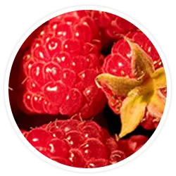 Red Raspberry Red Raspberry