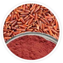 Red Yeast Rice