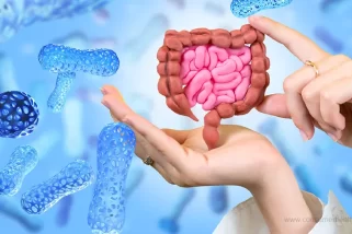 Understanding the Role of the Gut Microbiome