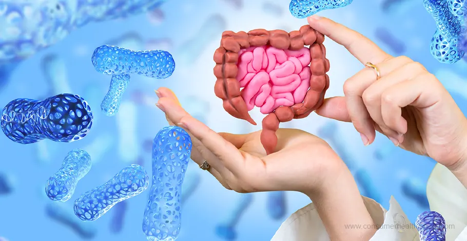 Understanding the Role of the Gut Microbiome