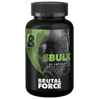 SBulk