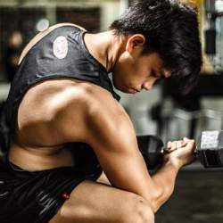 Seated Dumbbell Press