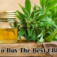 Seleccionar el mejor aceite de CBD
