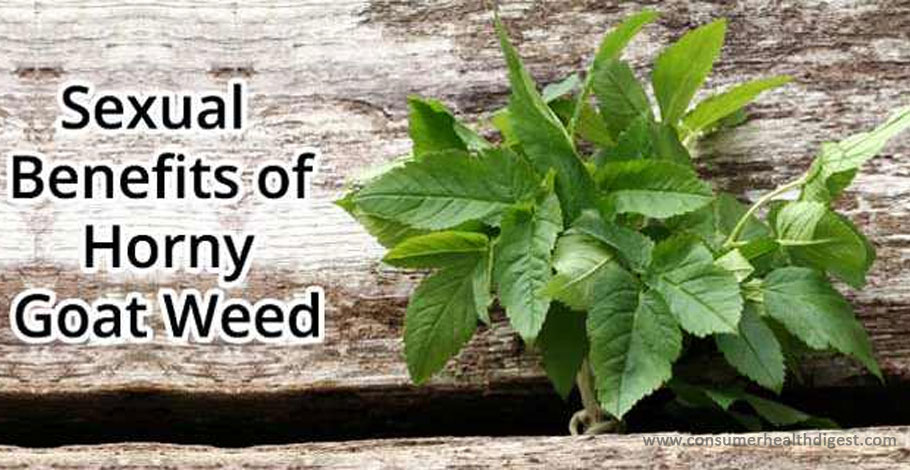 5 Health Benefits of Horny Goat Weed for Men Sexual Dysfunction