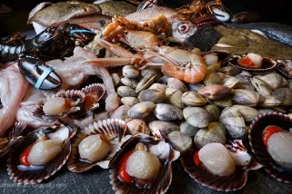Shellfish: Nutrient-Rich Sea Life for Heart and Joint Health