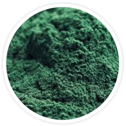 Snow Algae Powder