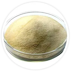 Sodium Alginate (100 mg) Sodium Alginate (100 mg)
