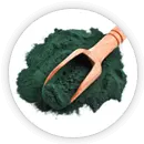 Spirulina