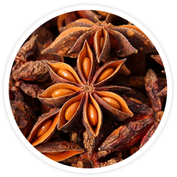 Star Anise