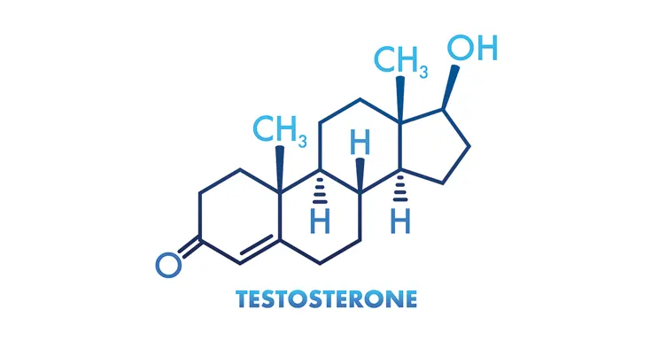 testosterone formula