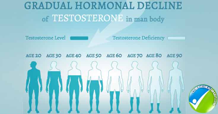 Testosterone Hormone Level