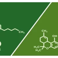 thc