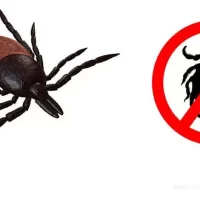 tick bite prevention week