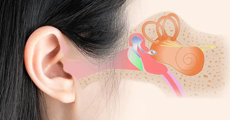 tinnitus supplements work