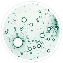 Mélange d'enzymes tropicales