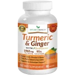 Nature’s Branch Turmeric & Ginger Review: Is It Useful?