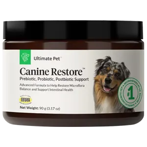 Canine Restore Review: Does It Really Work As Advertised?