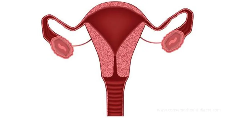 Vaginal Swelling: What Are The Common Causes? All You Need to Know