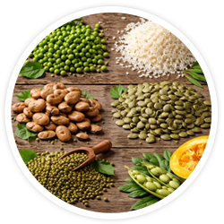 Vegan Protein Blend (15 mg) Vegan Protein Blend (15 mg)