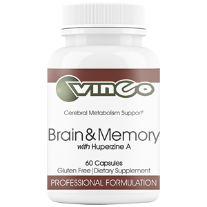 Vinco Cerveau et Mémoire