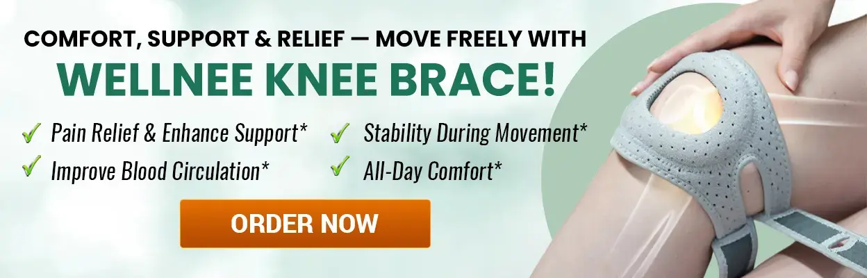 Wellnee Knee Brace