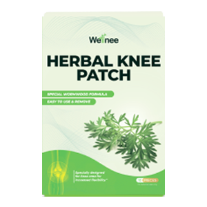 Wellnee Patch Review: How Effective Is It for Pain?