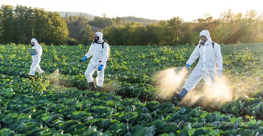 What You Need to Know About Paraquat Poisoning