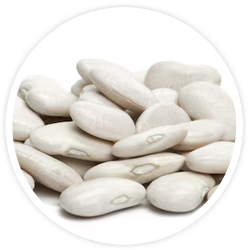 White Kidney Bean Extract White Kidney Bean Extract