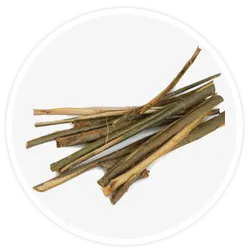 White Willow Bark Extract