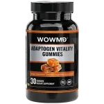 Avis sur les gommes adaptogènes WOWMD Vitality : Ces gommes à base de champignons peuvent-elles favoriser la concentration et le bien-être au quotidien ?