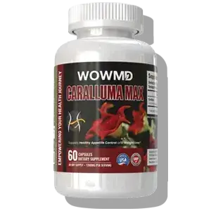 wowmd caralluma max