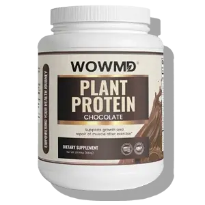 wowmd plant protein (chocolate) reviews