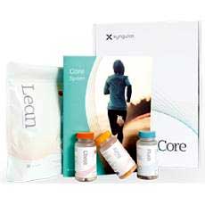 xyngular-core