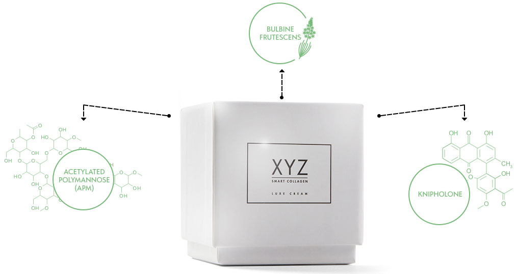XYZ Smart Collagen Ingredients XYZ Smart Collagen Ingredients