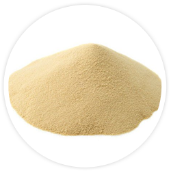 DermalRx (Yeast Extract)