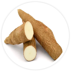 Yucca Schidigera Extract Yucca Schidigera Extract