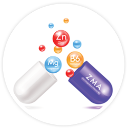 ZMA ZMA